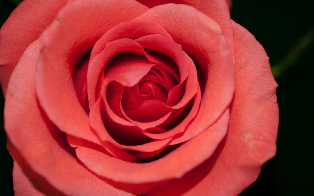 Self-Nurturing Coral Healing