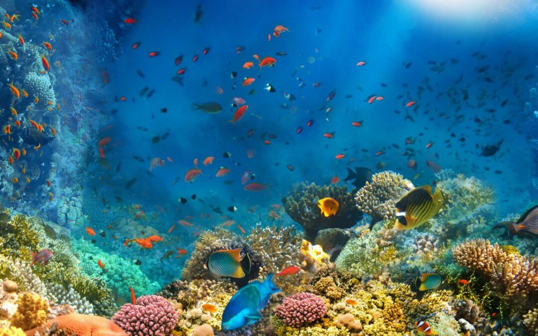 The Real Cause of Women’s Stress and Burnout